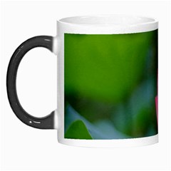 Red Pink Flower Morph Mug