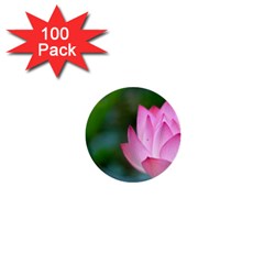 Pink Flowers 1  Mini Button (100 Pack) 