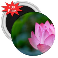 Pink Flowers 3  Magnet (100 Pack)