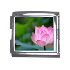 Pink Flowers Mega Link Italian Charm (18mm)