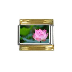 Pink Flowers Gold Trim Italian Charm (9mm) by ironman2222