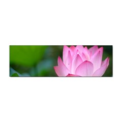 Pink Flowers Sticker (bumper) by ironman2222