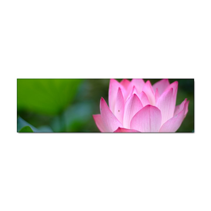 Pink Flowers Sticker (Bumper)