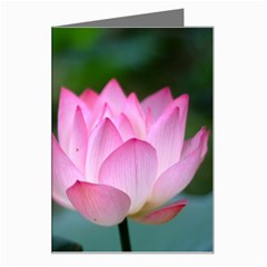 Pink Flowers Greeting Card by ironman2222