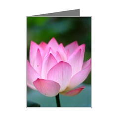 Pink Flowers Mini Greeting Card