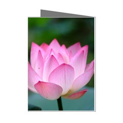 Pink Flowers Mini Greeting Cards (pkg Of 8)