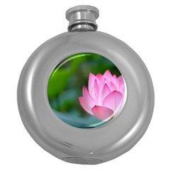 Pink Flowers Hip Flask (5 Oz) by ironman2222