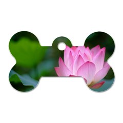 Pink Flowers Dog Tag Bone (one Side)