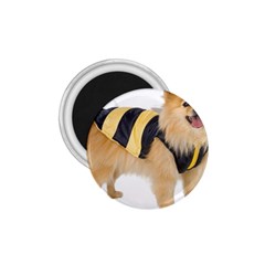 Dog-photo 1 75  Magnet by swimsuitscccc