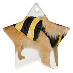 Dog-photo Ornament (star)