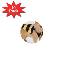 Dog-photo 1  Mini Button (10 Pack)  by swimsuitscccc