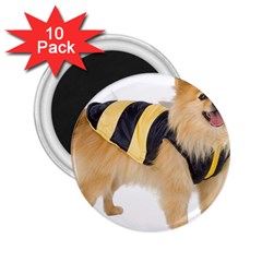 Dog-photo 2 25  Magnet (10 Pack)