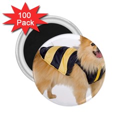 Dog-photo 2 25  Magnet (100 Pack)  by swimsuitscccc