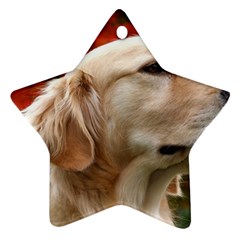 Dog-photo Cute Ornament (star)