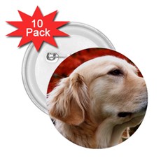 Dog-photo Cute 2 25  Button (10 Pack) by swimsuitscccc