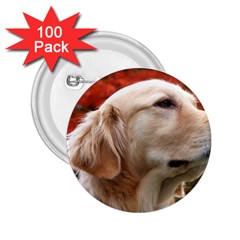 Dog-photo Cute 2 25  Button (100 Pack) by swimsuitscccc