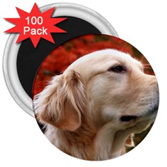 Dog-photo Cute 3  Magnet (100 Pack) by swimsuitscccc