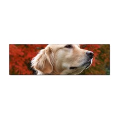 Dog-photo Cute Sticker (bumper) by swimsuitscccc