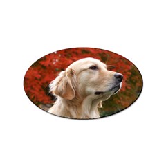 Dog-photo Cute Sticker Oval (10 Pack) by swimsuitscccc