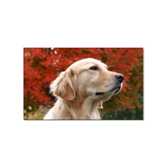 Dog-photo Cute Sticker Rectangular (10 Pack) by swimsuitscccc