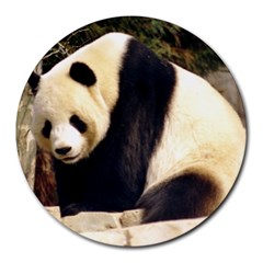 Giant Panda National Zoo Round Mousepad