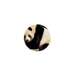 Giant Panda National Zoo 1  Mini Button Front