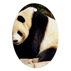 Giant Panda National Zoo Ornament (oval)