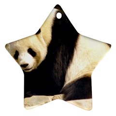 Giant Panda National Zoo Ornament (star)