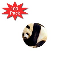 Giant Panda National Zoo 1  Mini Magnet (100 Pack) 