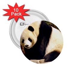 Giant Panda National Zoo 2 25  Button (10 Pack)