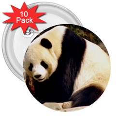 Giant Panda National Zoo 3  Button (10 Pack)