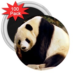 Giant Panda National Zoo 3  Magnet (100 Pack)