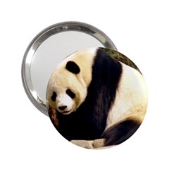 Giant Panda National Zoo 2 25  Handbag Mirror