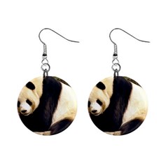 Giant Panda National Zoo 1  Button Earrings