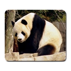 Giant Panda National Zoo Large Mousepad