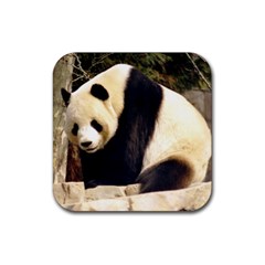 Giant Panda National Zoo Rubber Coaster (square)