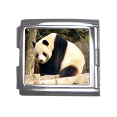 Giant Panda National Zoo Mega Link Italian Charm (18mm) by rainbowberry