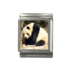 Giant Panda National Zoo Italian Charm (13mm) by rainbowberry