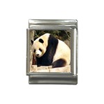 Giant Panda National Zoo Italian Charm (13mm) Front