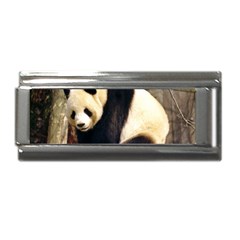 Giant Panda National Zoo Superlink Italian Charm (9mm) by rainbowberry