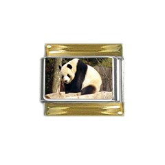 Giant Panda National Zoo Gold Trim Italian Charm (9mm) by rainbowberry