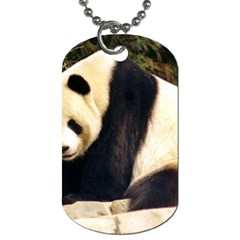 Giant Panda National Zoo Dog Tag (one Side)