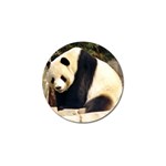 Giant Panda National Zoo Golf Ball Marker (4 pack) Front