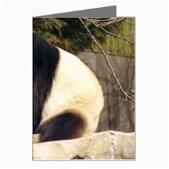 Giant Panda National Zoo Greeting Card