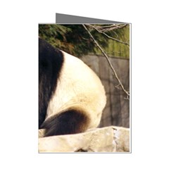 Giant Panda National Zoo Mini Greeting Cards (pkg Of 8)