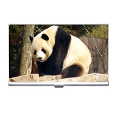 Giant Panda National Zoo Business Card Holder