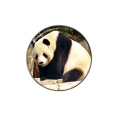 Giant Panda National Zoo Hat Clip Ball Marker (4 Pack)