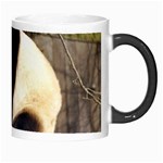 Giant Panda National Zoo Morph Mug Right