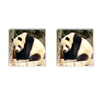 Giant Panda National Zoo Cufflinks (Square) Front(Pair)