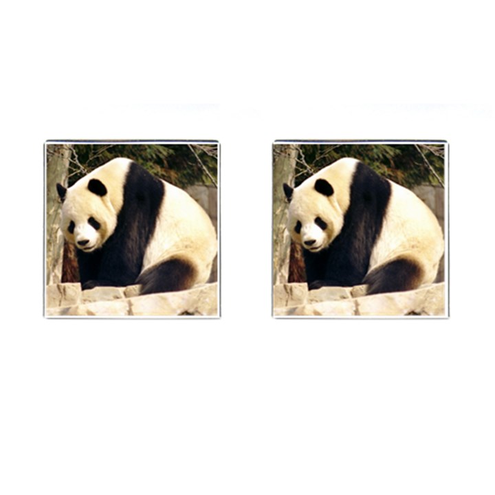 Giant Panda National Zoo Cufflinks (Square)